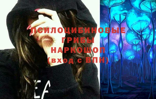 эйфоретик Горняк